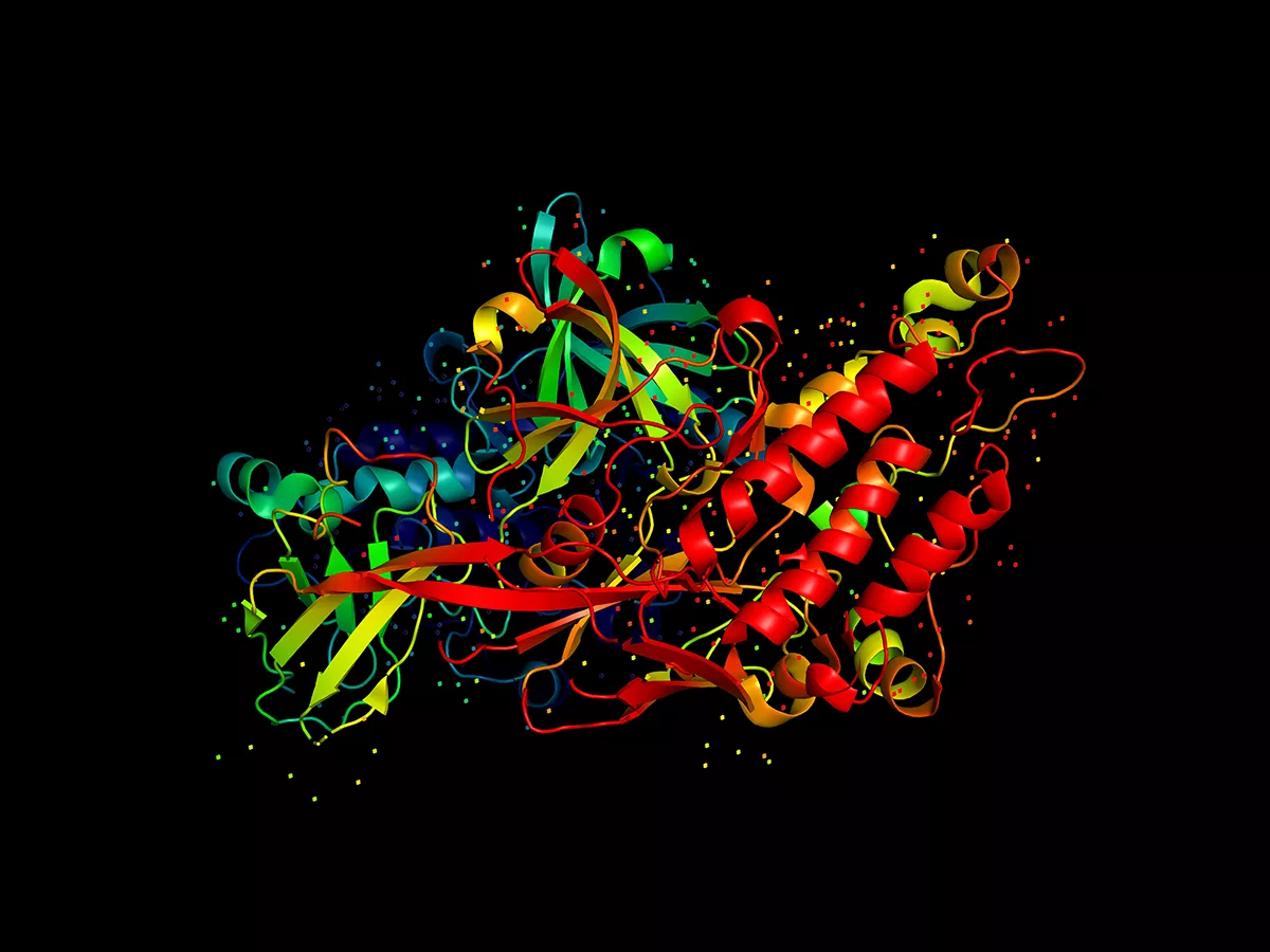 AlphaFold Protein
