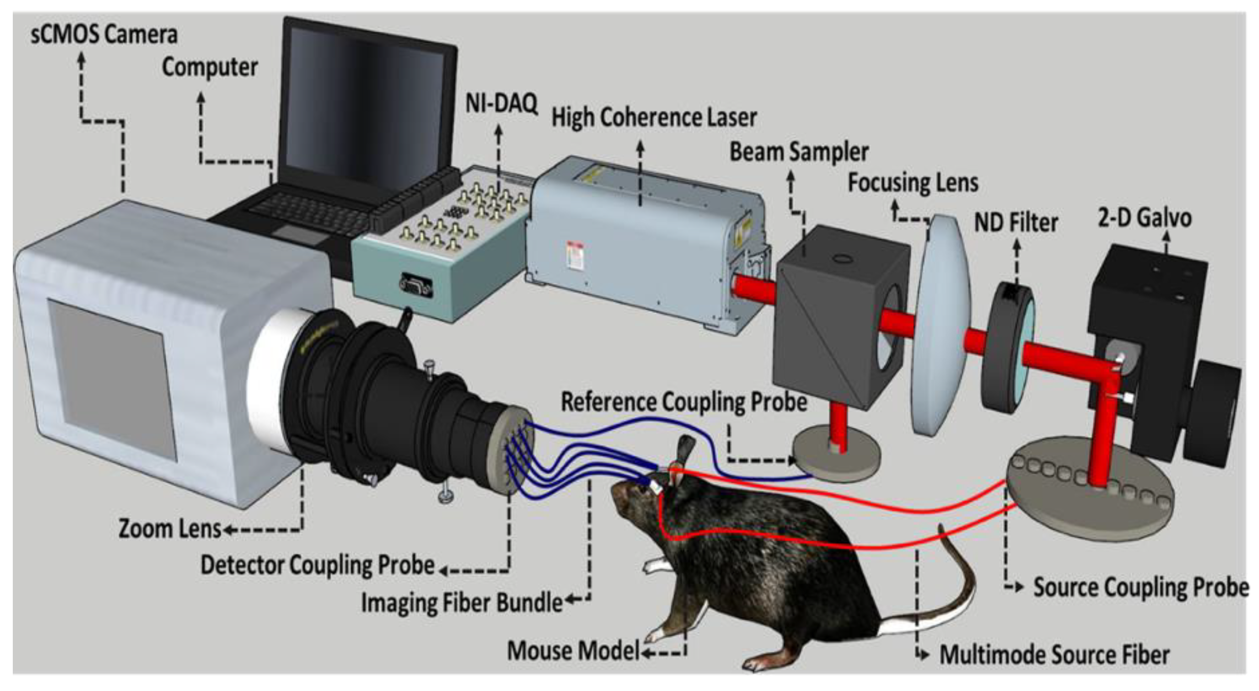 Mouse Experiment Setup