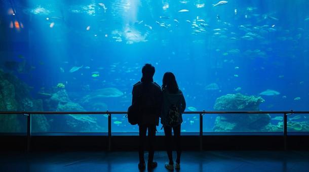 Teens at aquarium