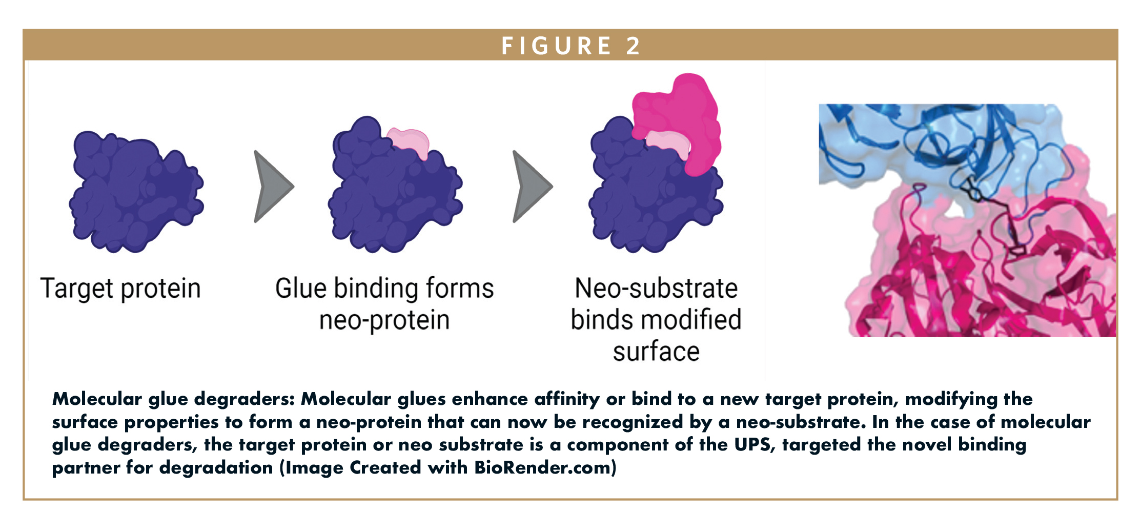 Investigación sobre degradación de proteínas dirigidas para el tratamiento del cáncer