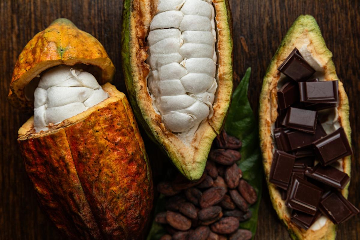 Granos de cacao, chocolate y una mazorca de cacao mostrando el proceso completo