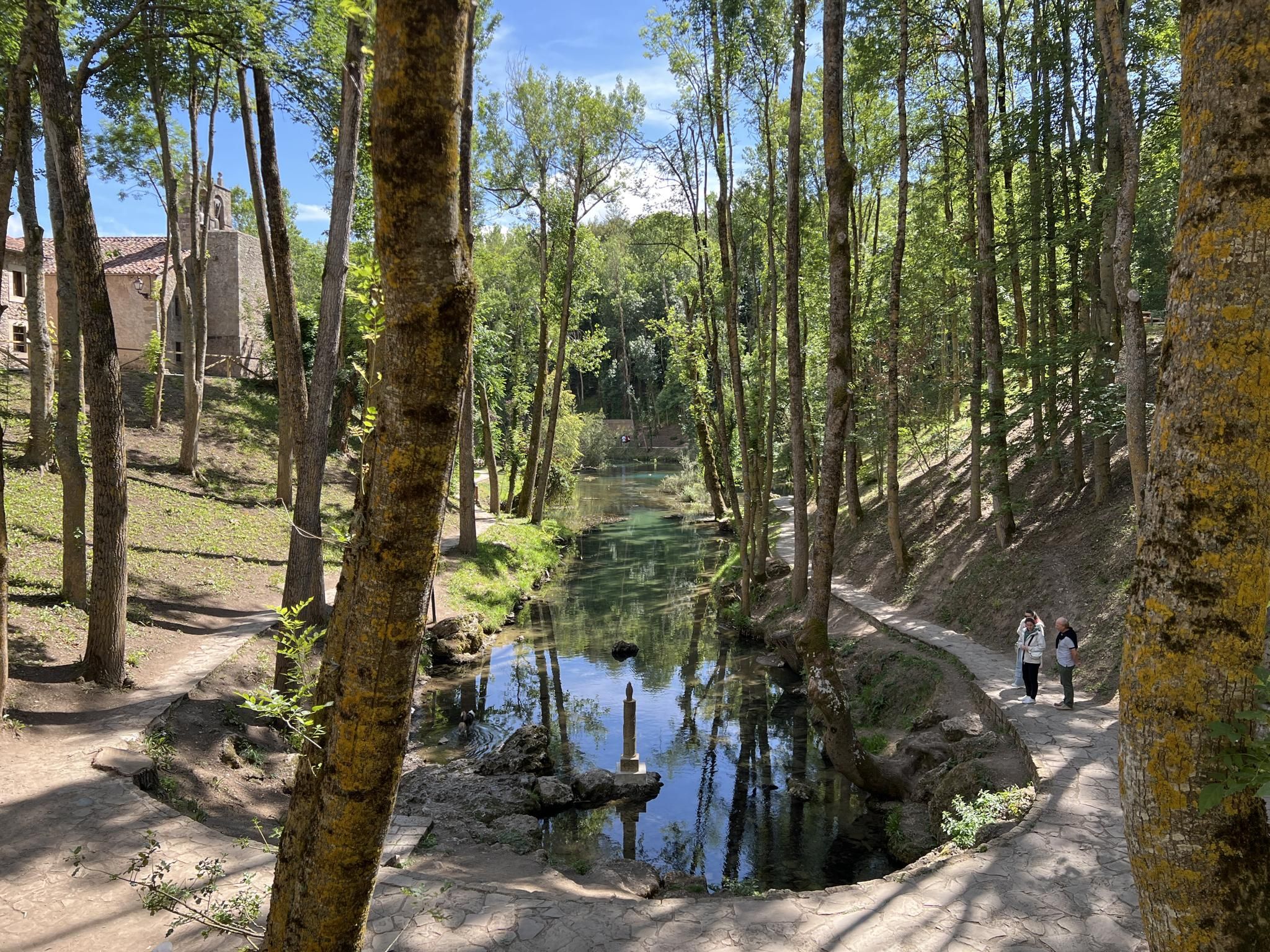 Arroyo entre piedras en bosque