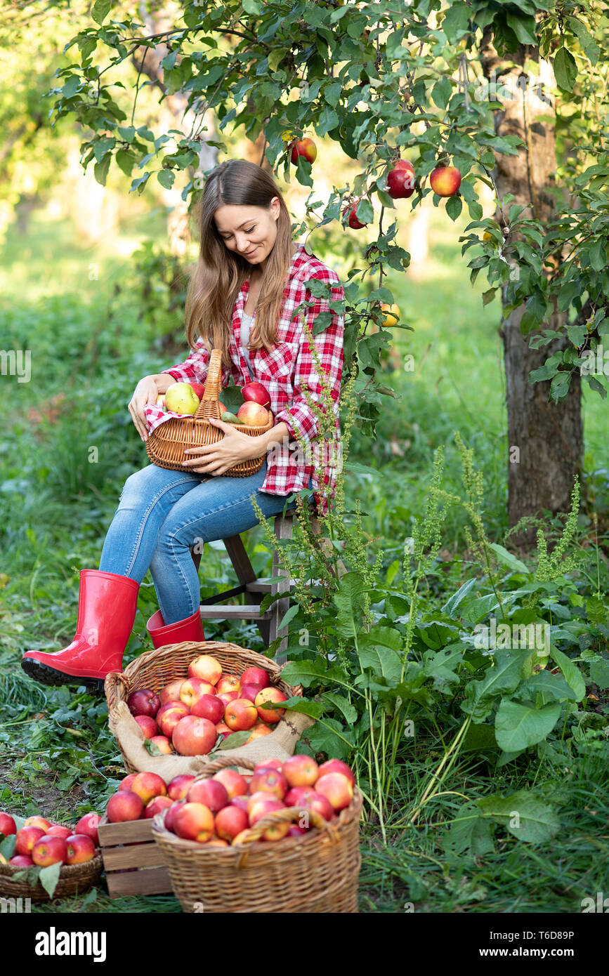 Manzanos listos para trasplante. Fruta de tu propio huerto 🍎