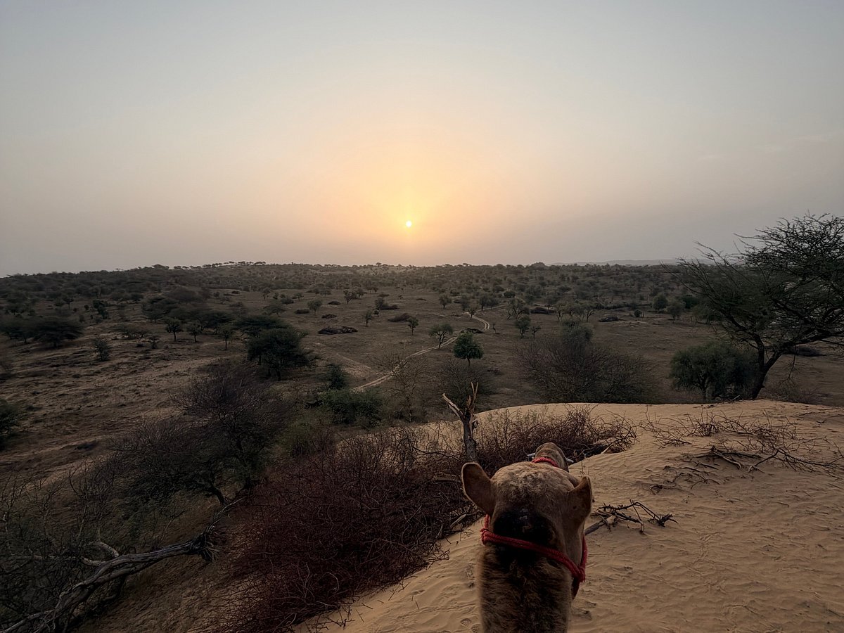Osian Desert