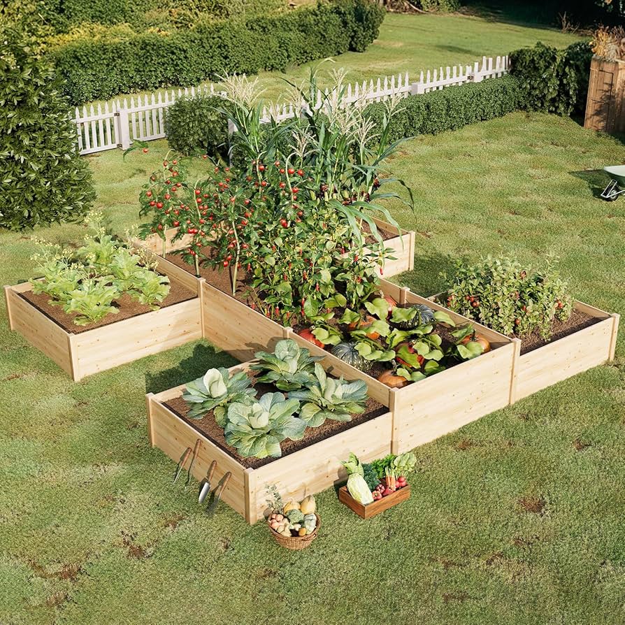 Plantines de temporada listos para tu huerta 🌱