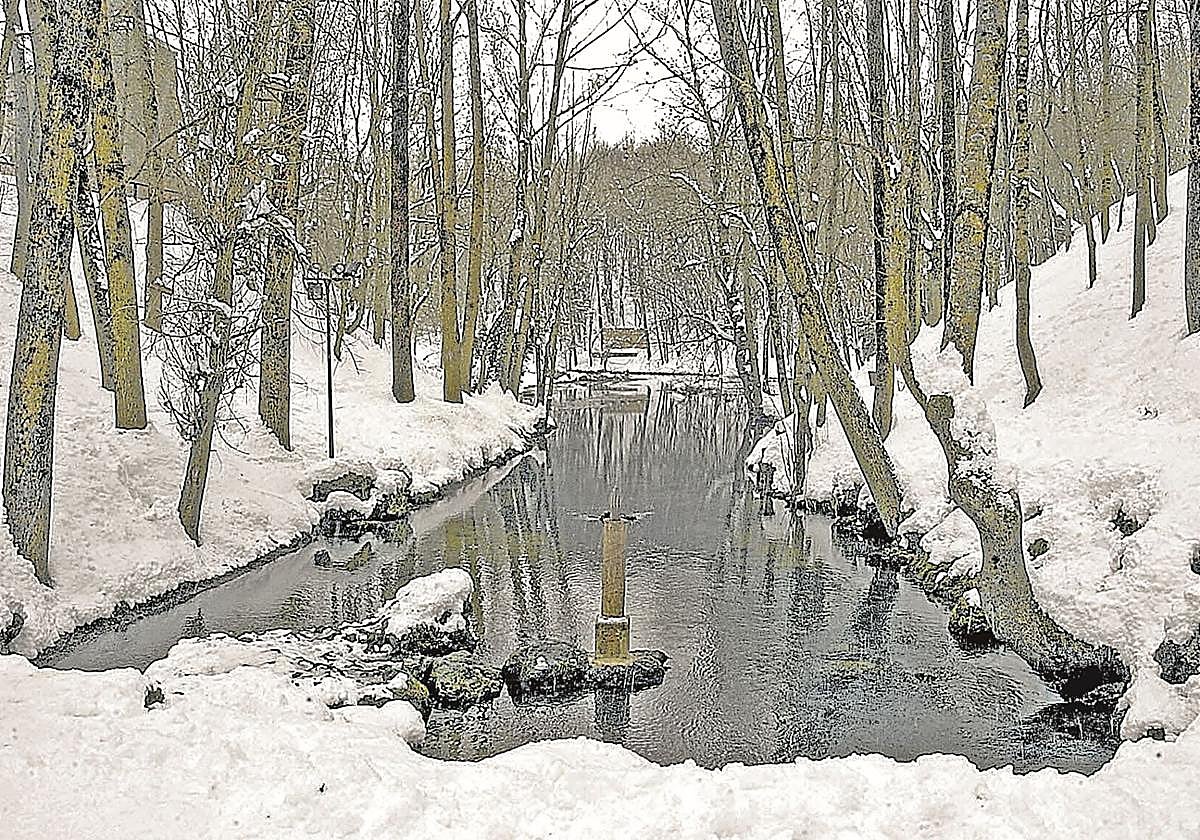 Bosque nevado con arroyo