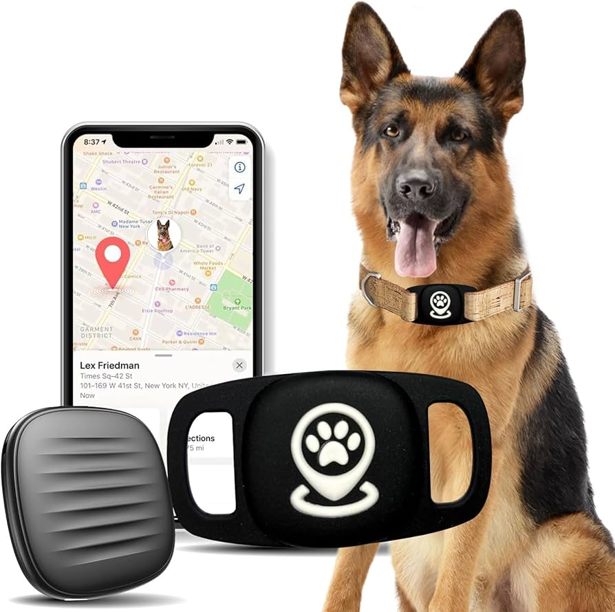Perro utilizando un collar inteligente con tecnología de seguimiento