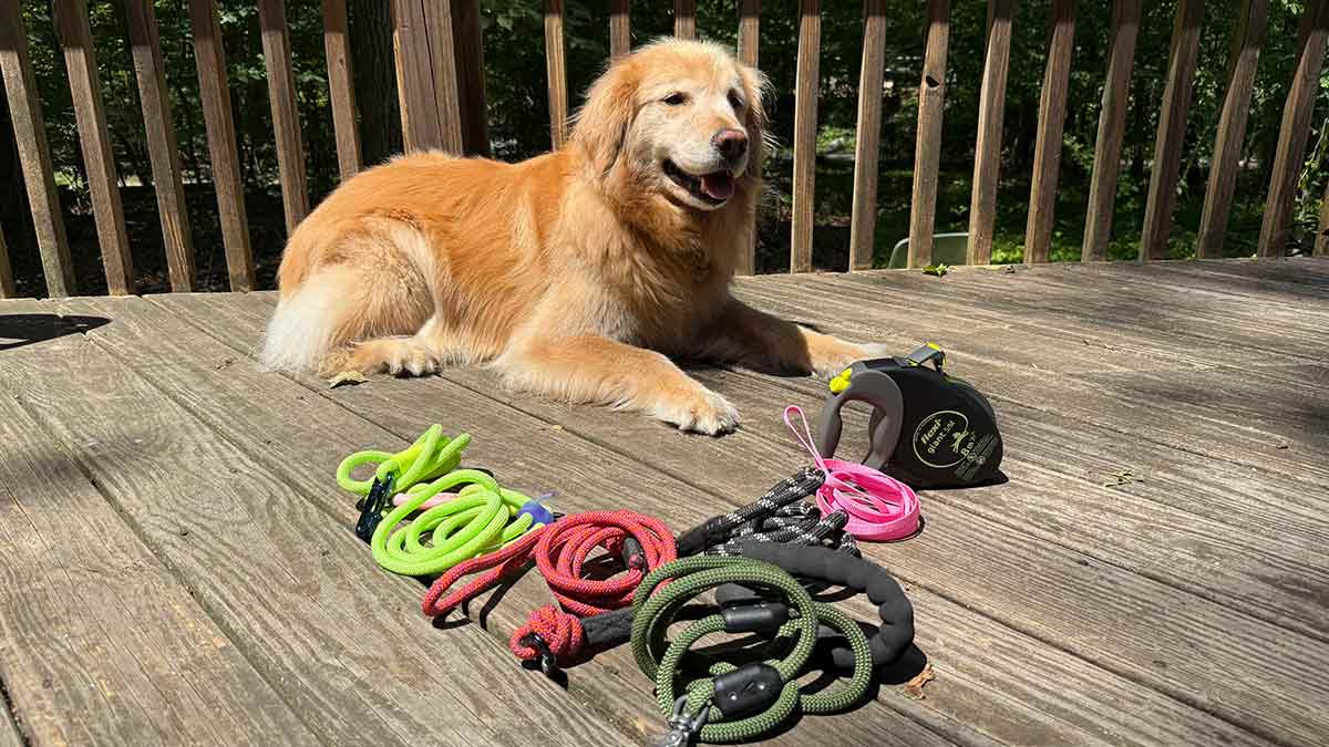 Nuevo lote de Acana y Orijen recién llegado 🐶