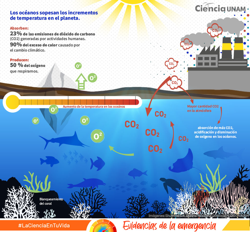 Impacto del calentamiento global en los océanos