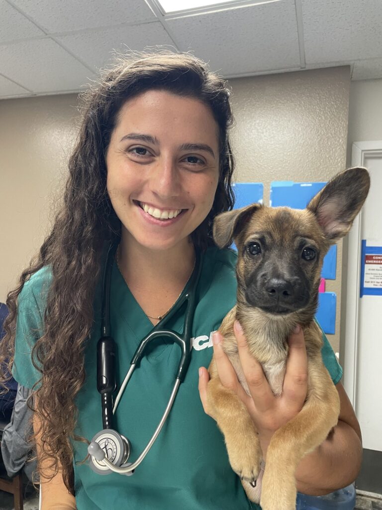 Veterinaria sosteniendo un cachorro con estetoscopio