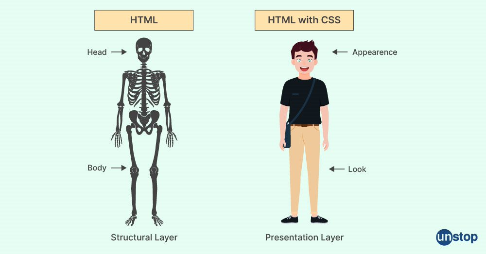 HTML con y sin CSS