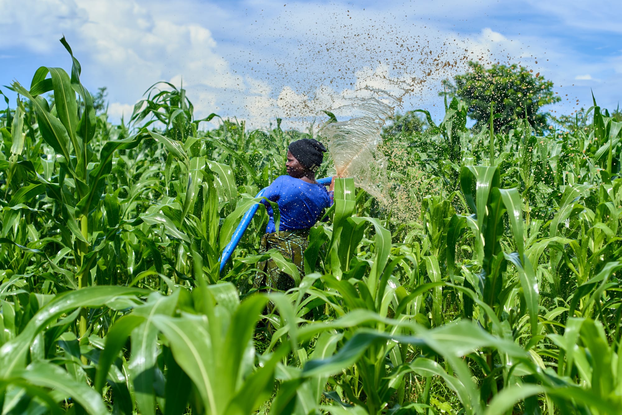 Namanve Agri-Processing Hub — Agriculture project in Uganda financed by Zaviku Group