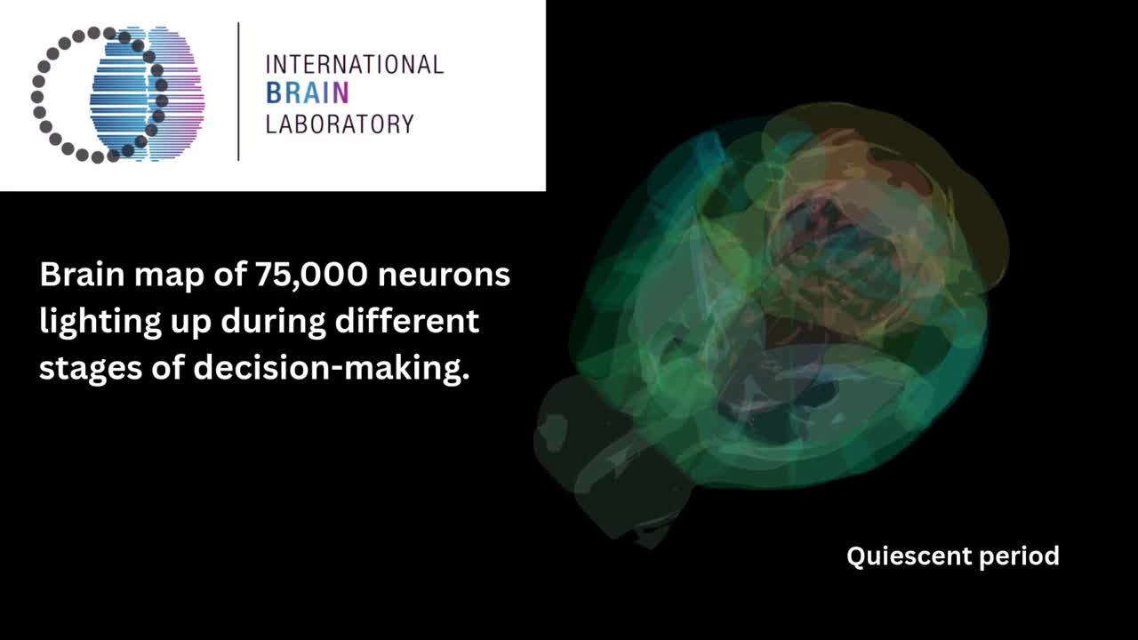 Mapa de actividad neuronal cerebral