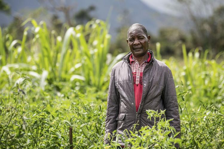 Agricultor sonriente en un campo próspero