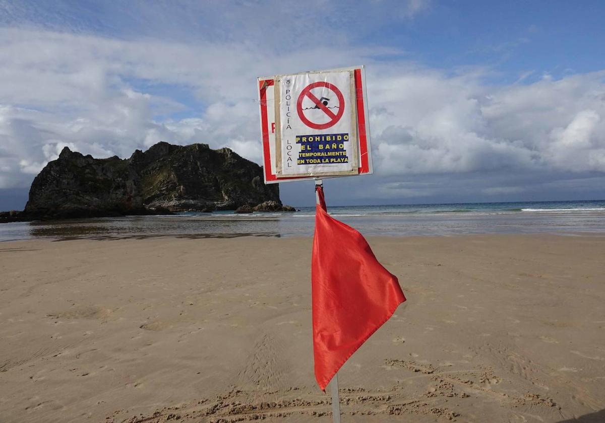 Señal de advertencia en playa por presencia de dragón azul