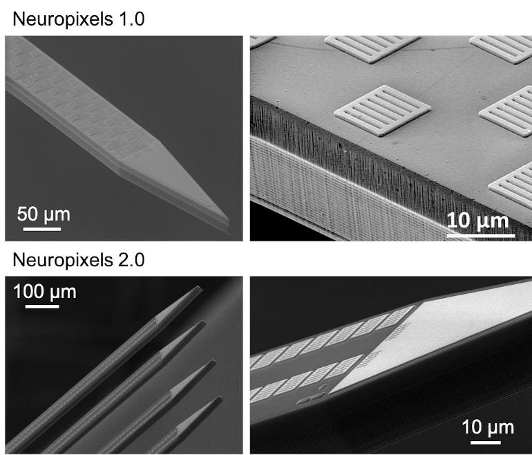 Imágenes de microscopía electrónica de Neuropixels 1.0 y 2.0
