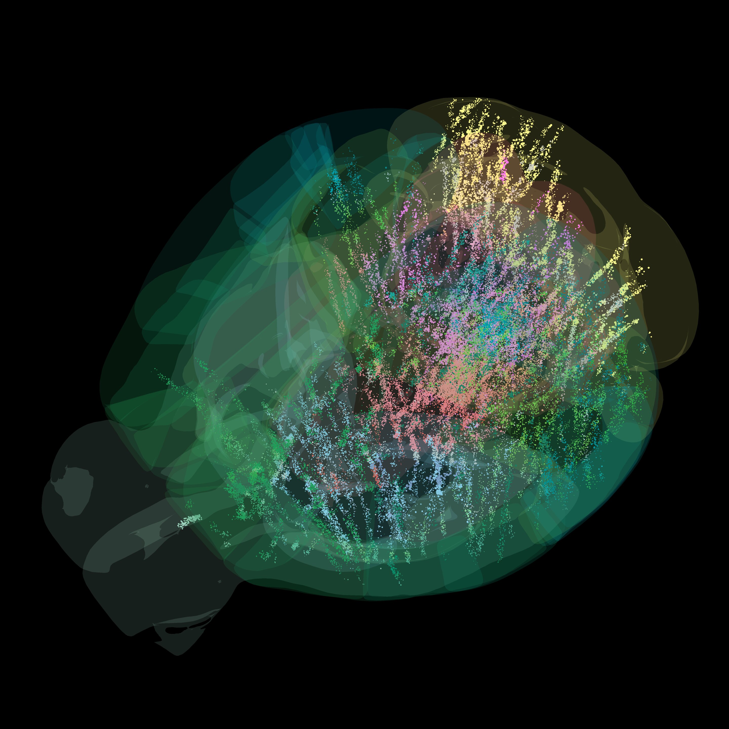 Conexiones neuronales del cerebro