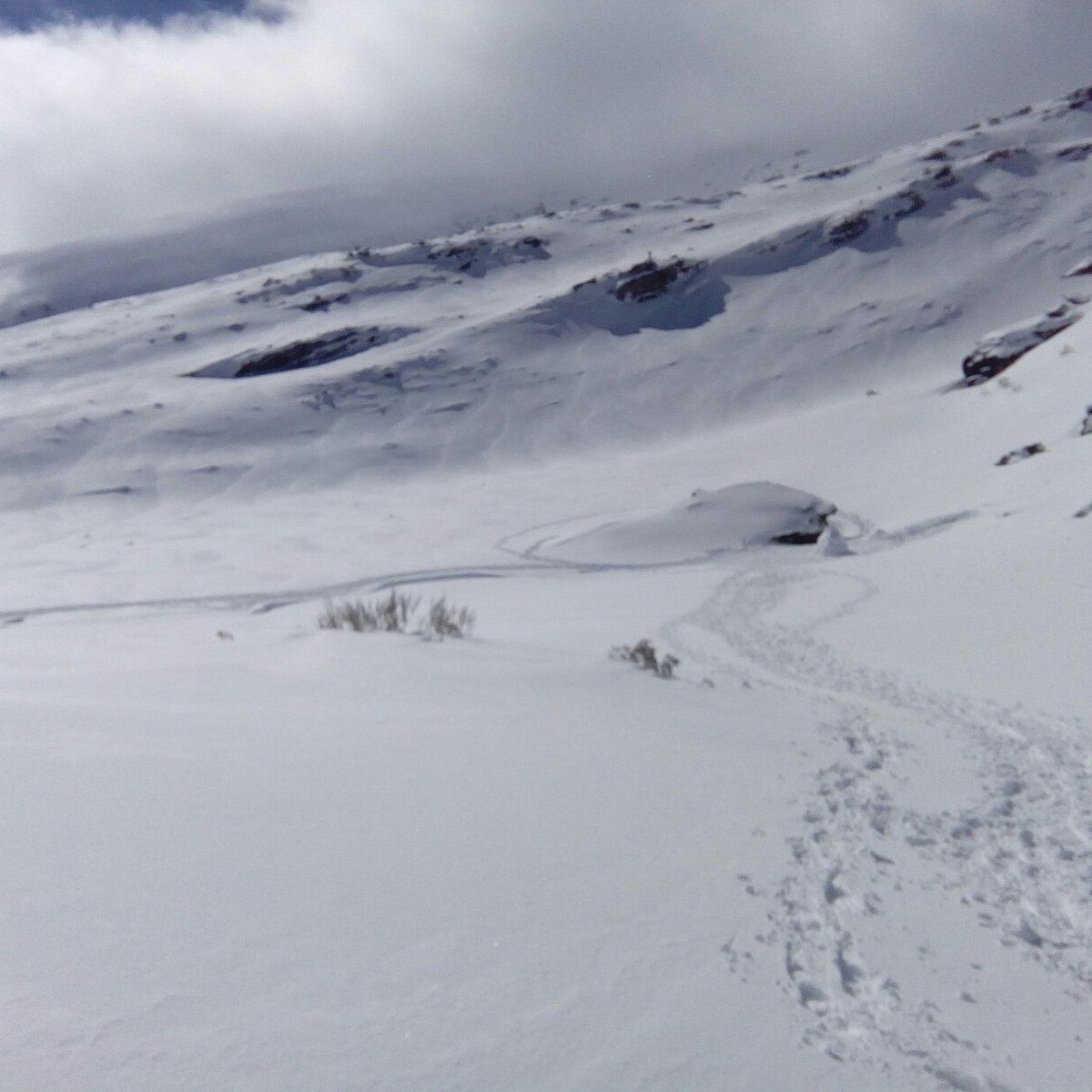 Alto Campoo