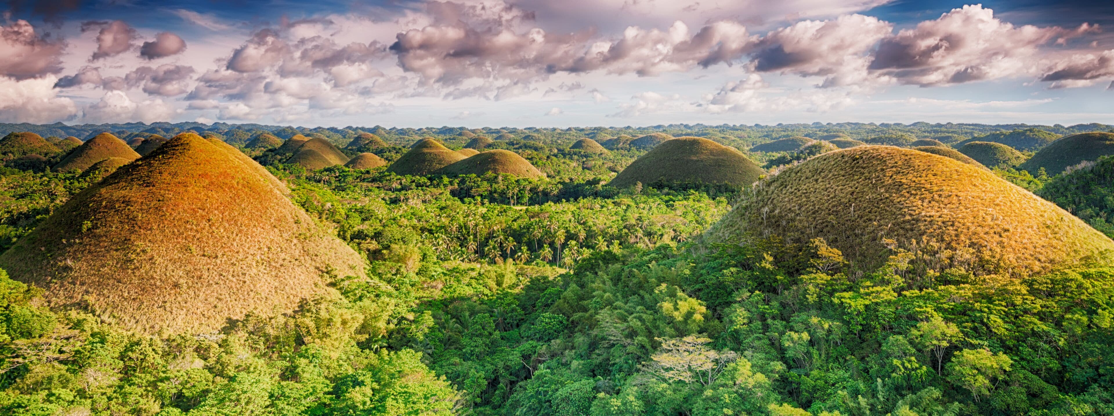 Bohol