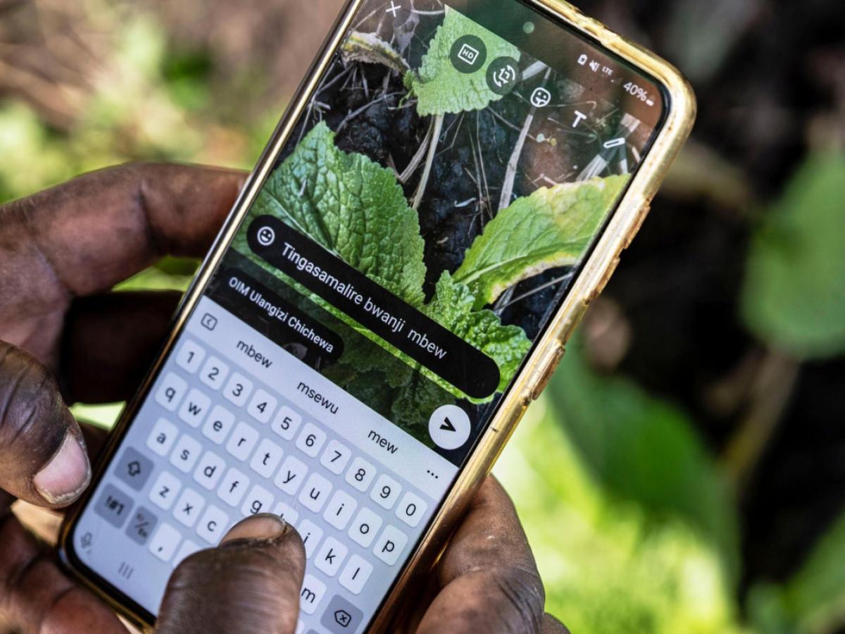 Mano usando un smartphone con información agrícola
