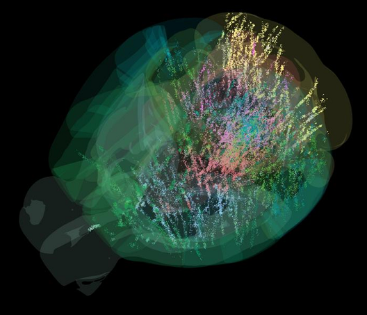 Representación abstracta y colorida del cerebro