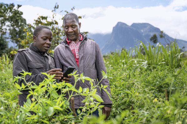Agricultores consultando información en sus teléfonos móviles