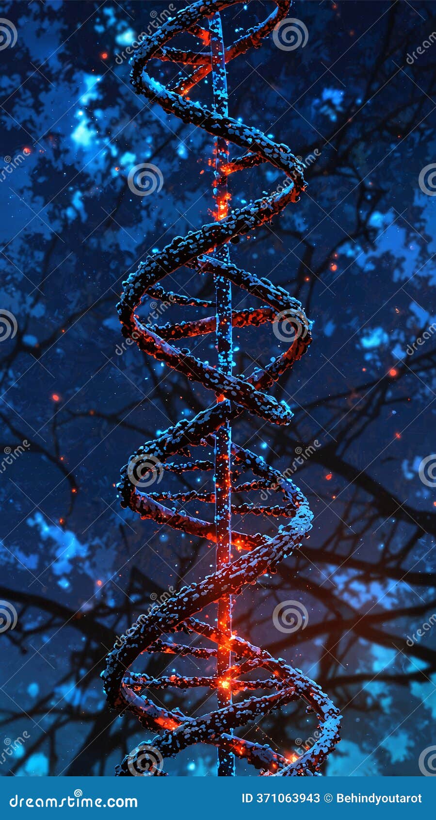 DNA double helix