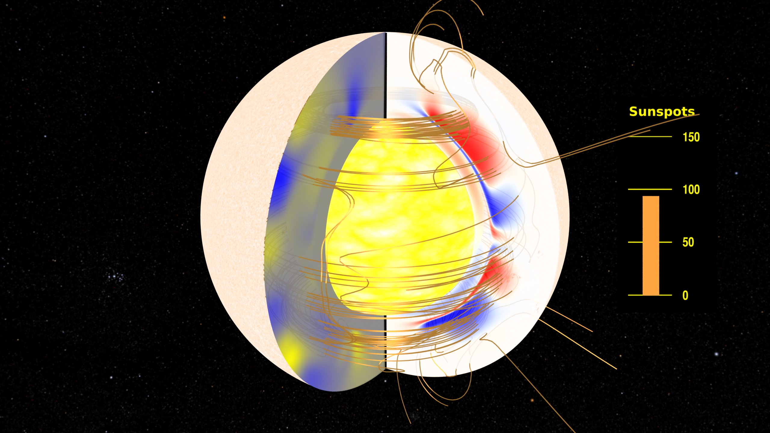Estructura interna del Sol mostrando el campo magnético y las manchas solares