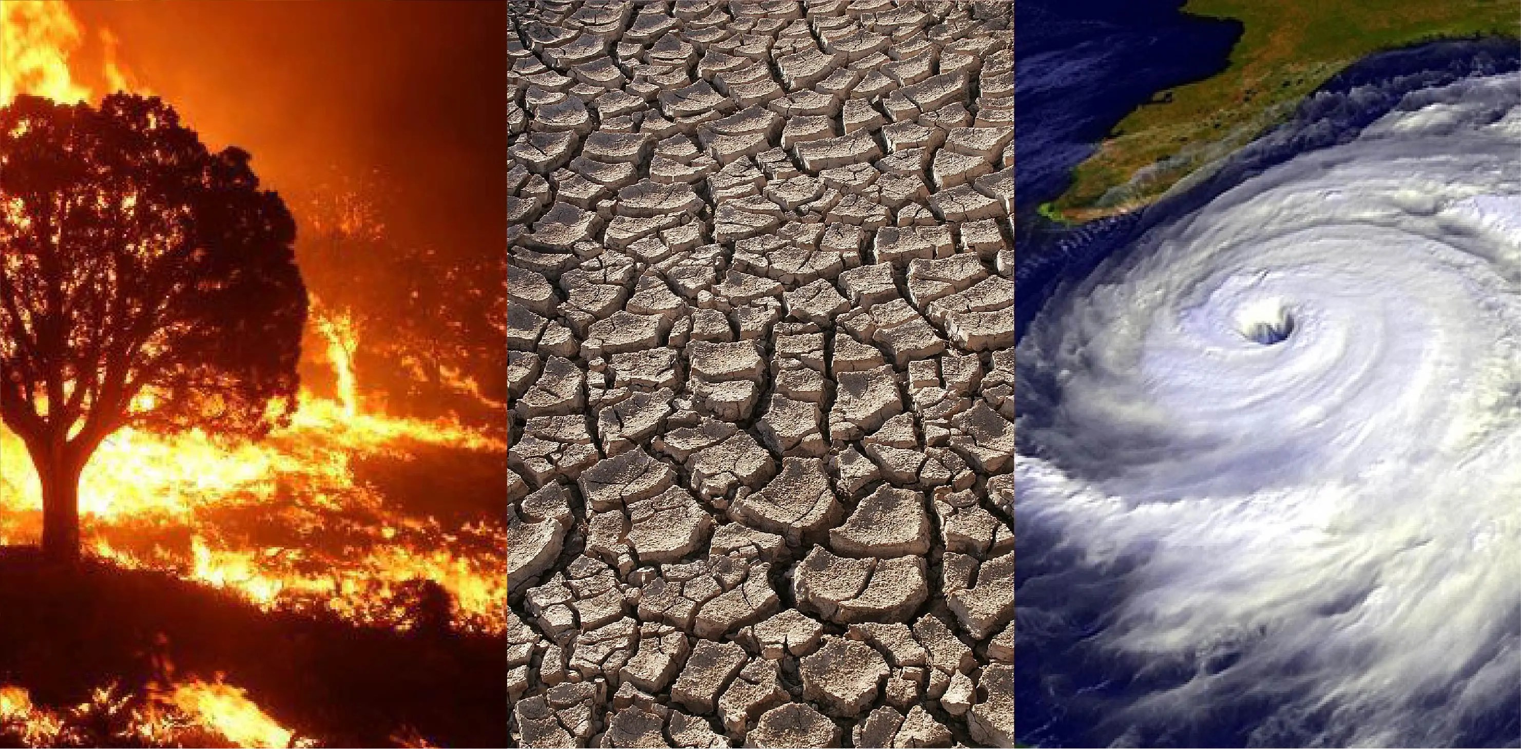 Imagen mostrando incendios, sequías y huracanes como efectos del cambio climático