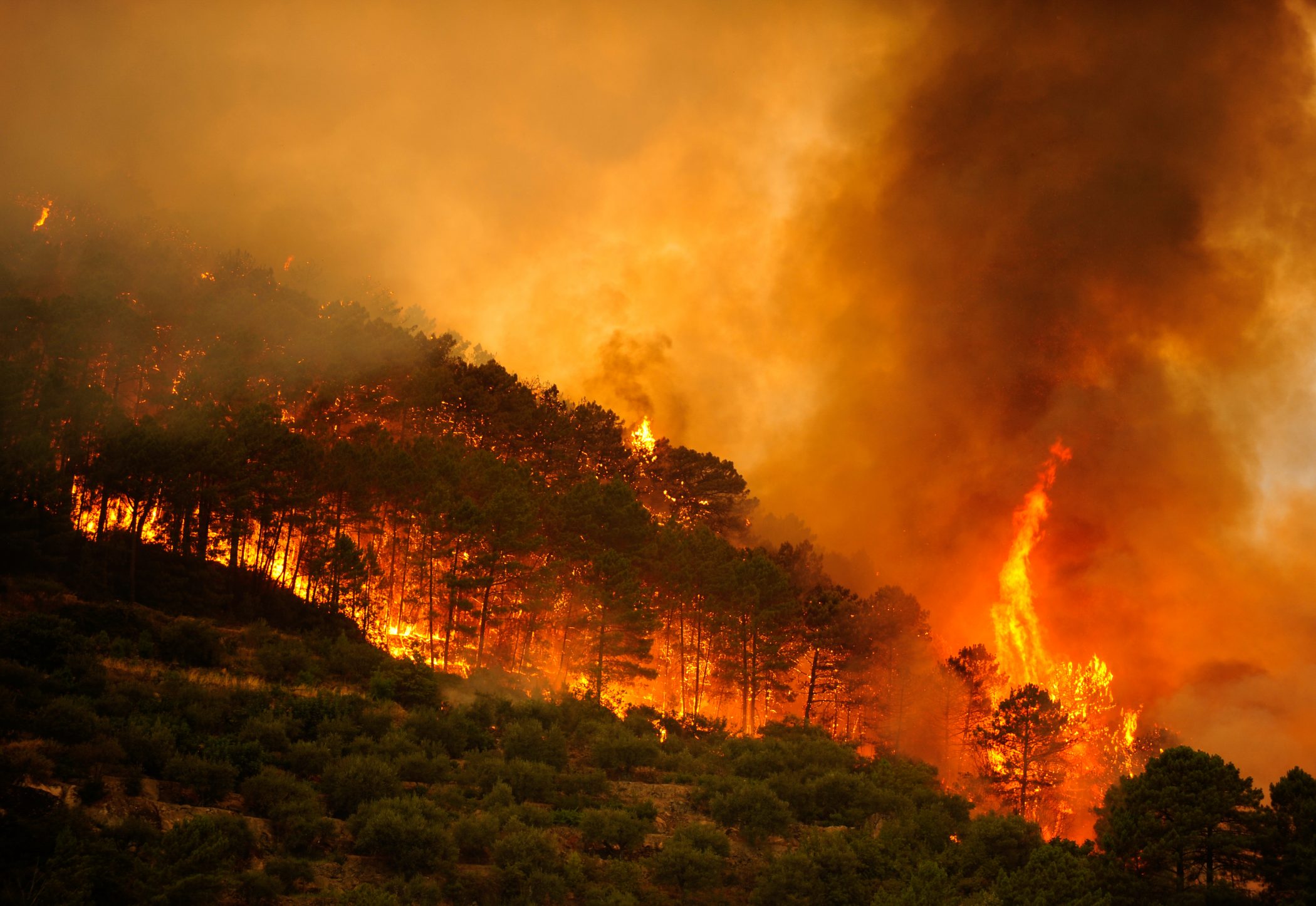 Incendio forestal en España como consecuencia del aumento de temperatura