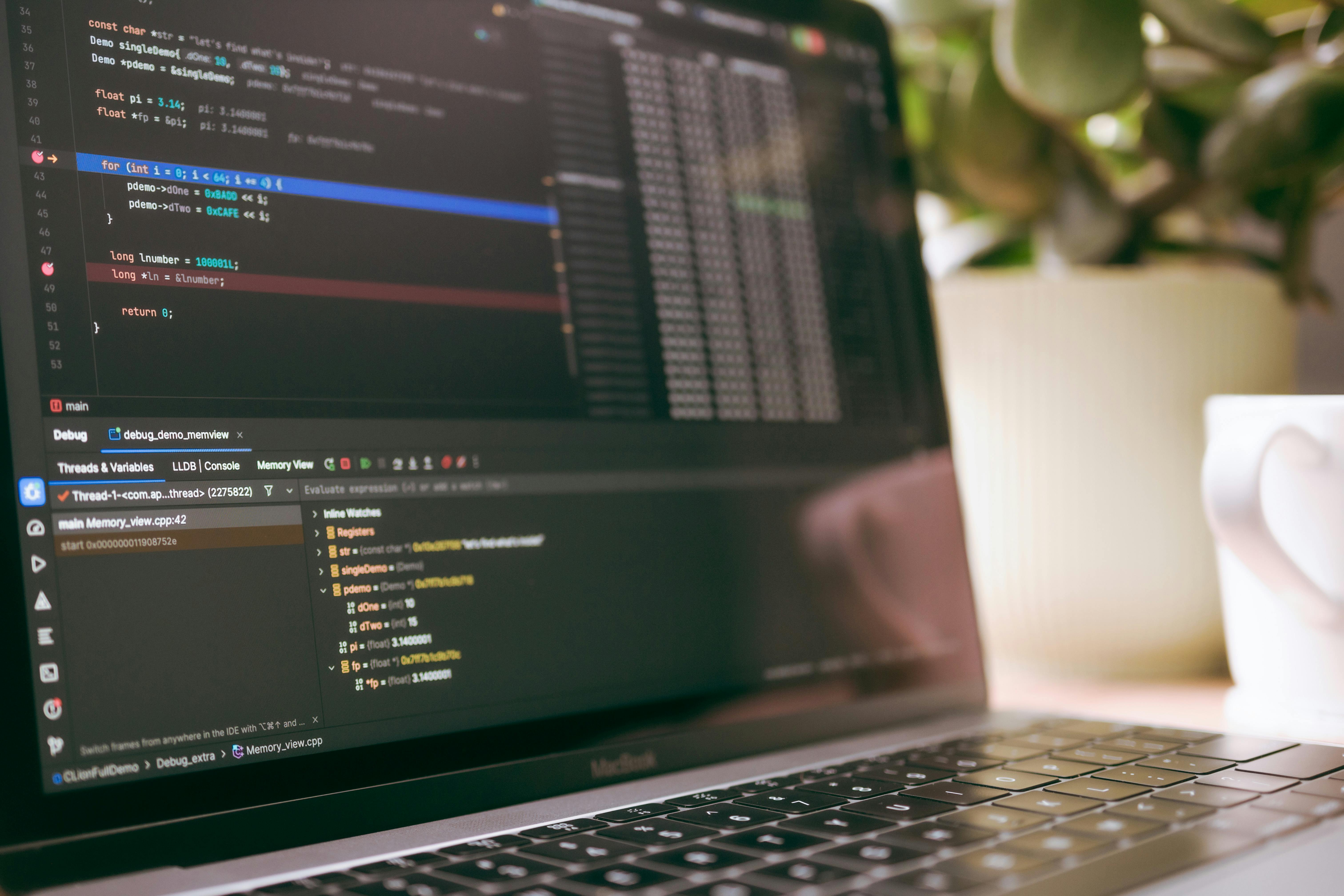 Coding Development Workspace