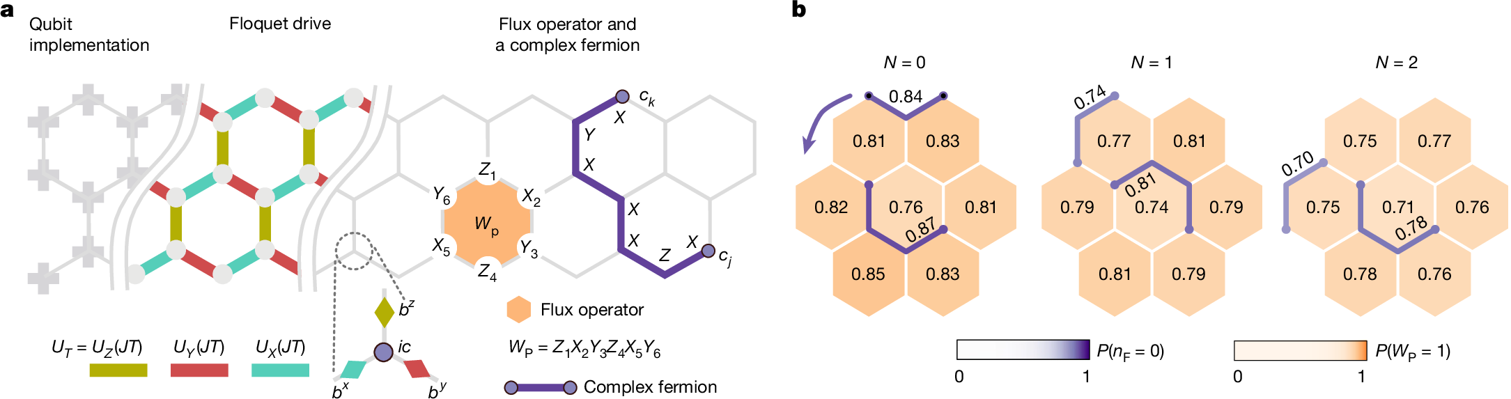 Procesador Cuántico Logra Fase Exótica de Materia