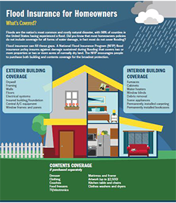Flood insurance coverage options