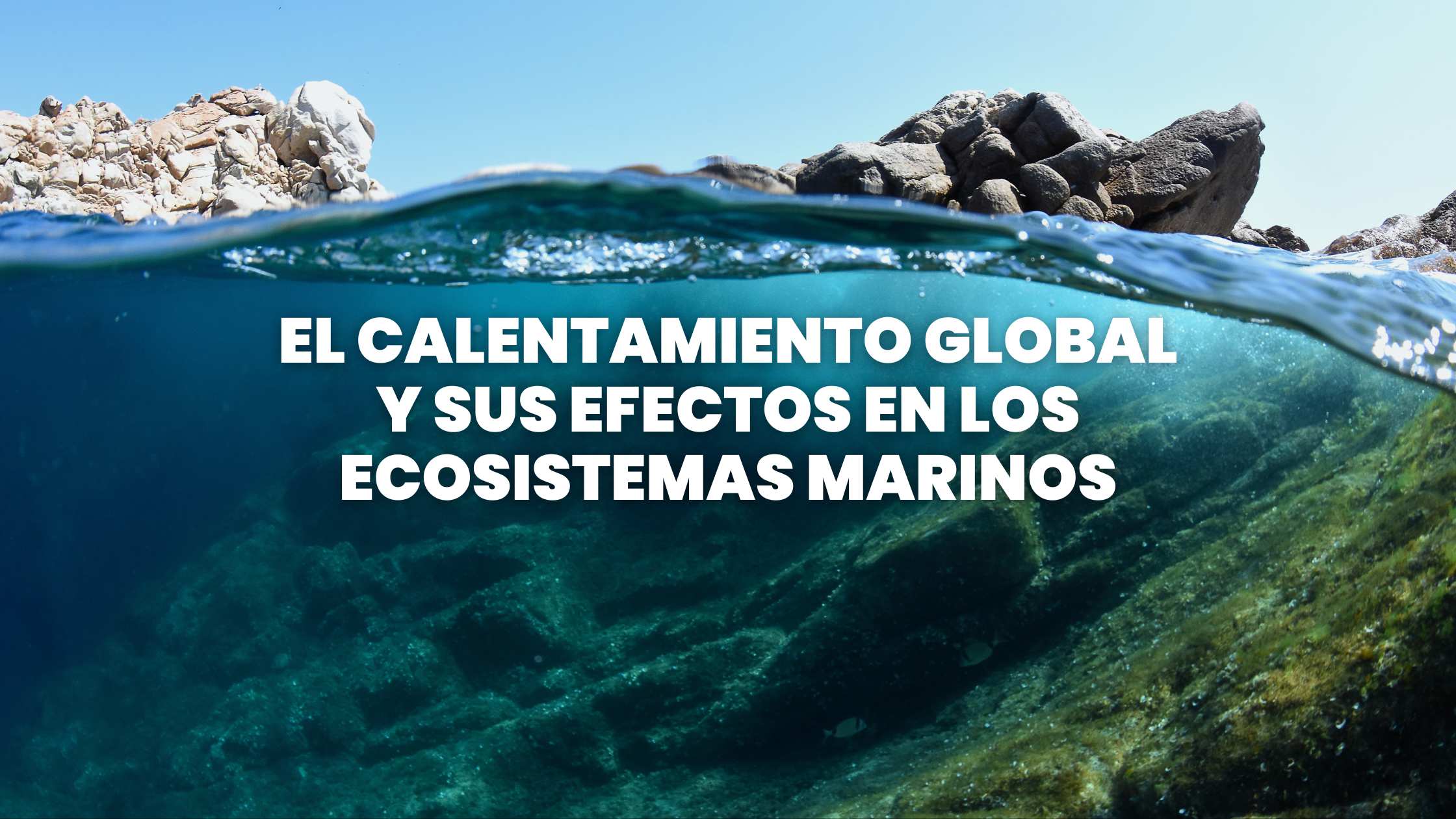Impacto del calentamiento global en los ecosistemas marinos