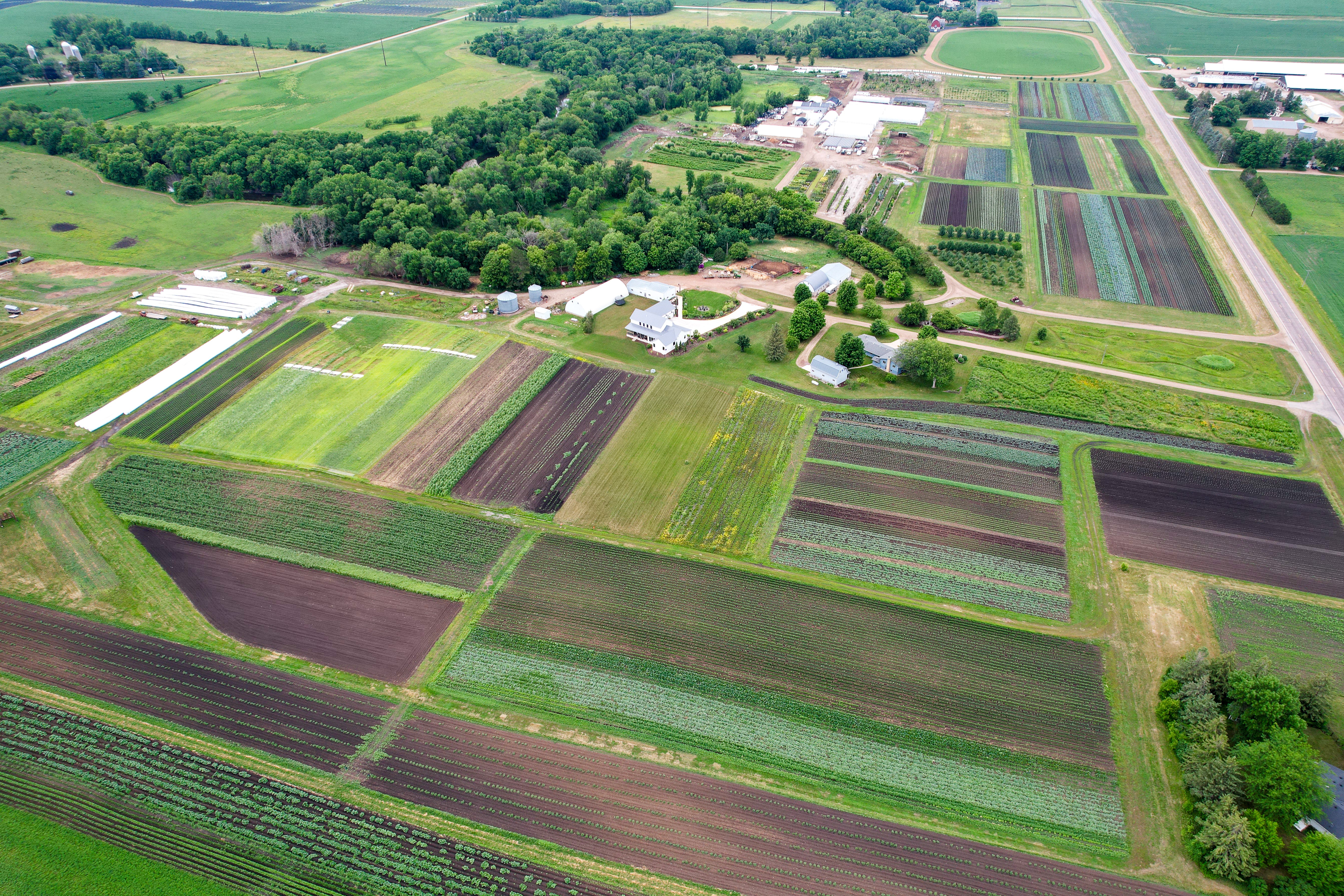 Vista aérea de campos de cultivo organizados