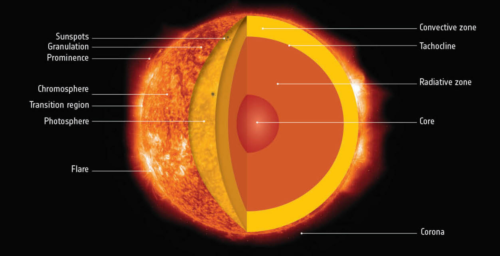 Diagrama detallado de la estructura interna del Sol mostrando todas sus capas principales