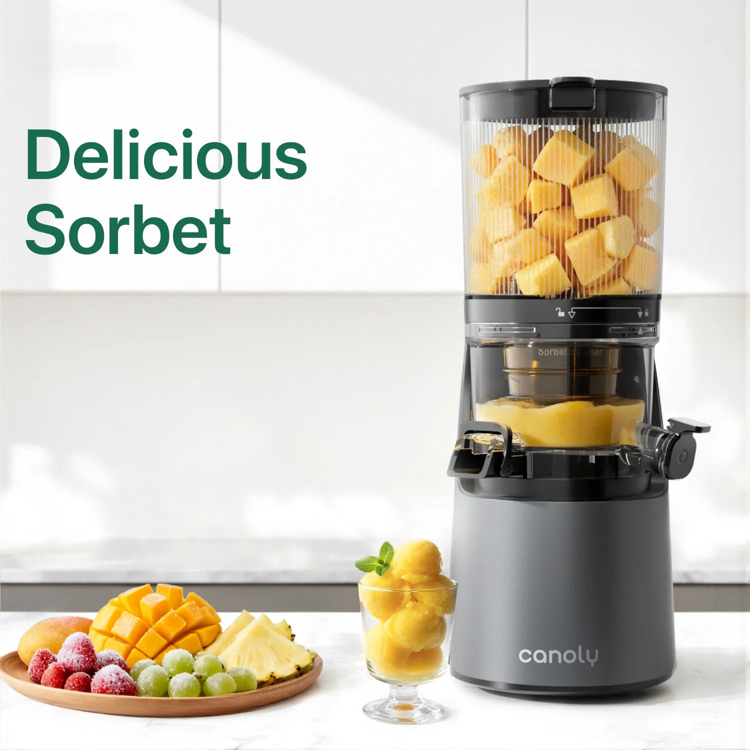 Canoly C16 Cold Press Juicer