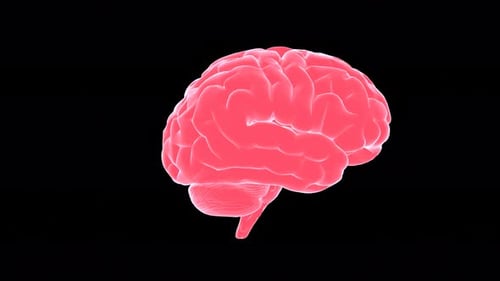 Dr. José Luis de Sancho