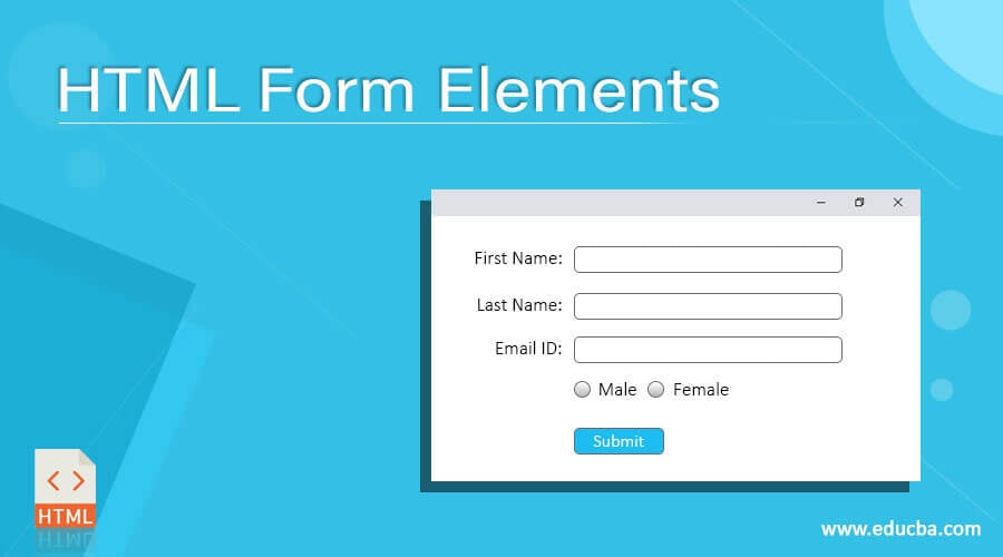 HTML form elements example
