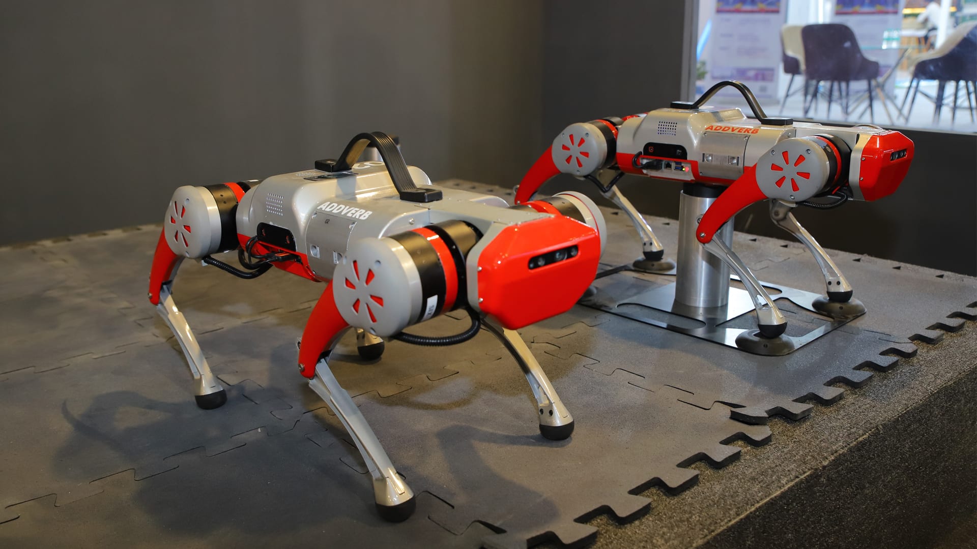Dos robots con forma de perro en un entorno de laboratorio