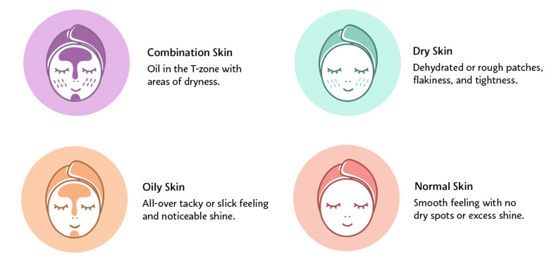 Illustrations and descriptions of four skin types