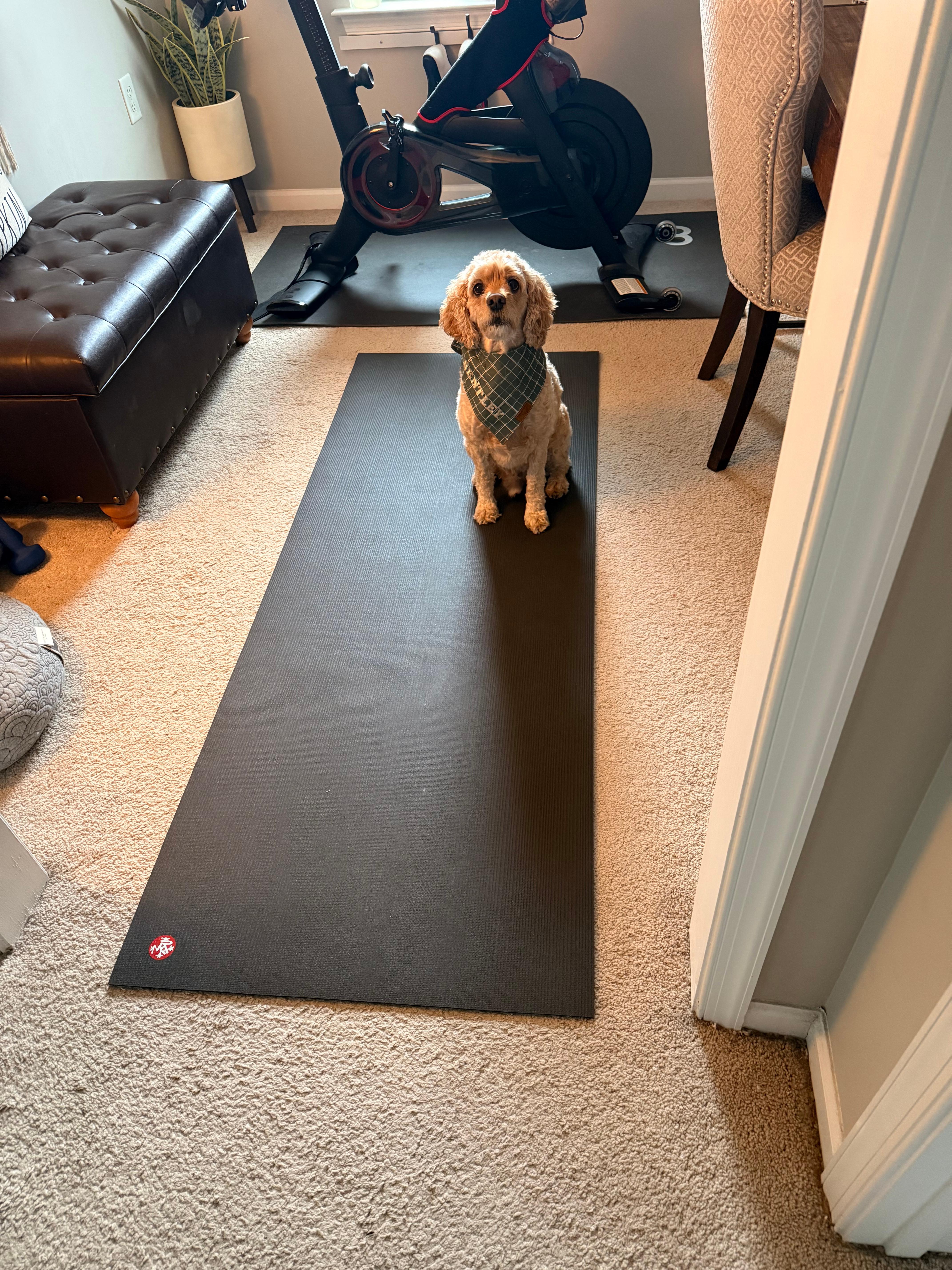 Manduka PRO Yoga Mat