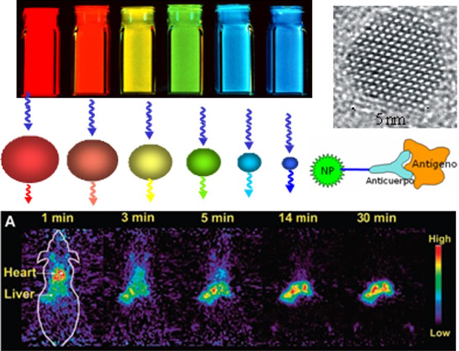 Tecnología de puntos cuánticos para imagen de fluorescencia
