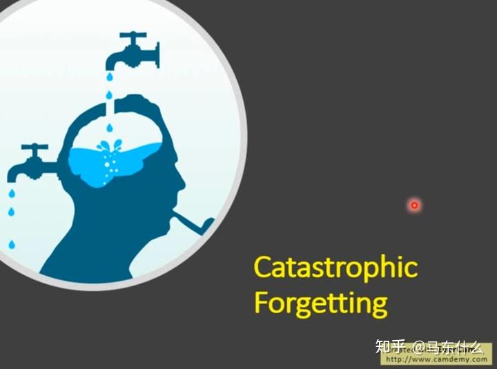 灾难性遗忘示意图