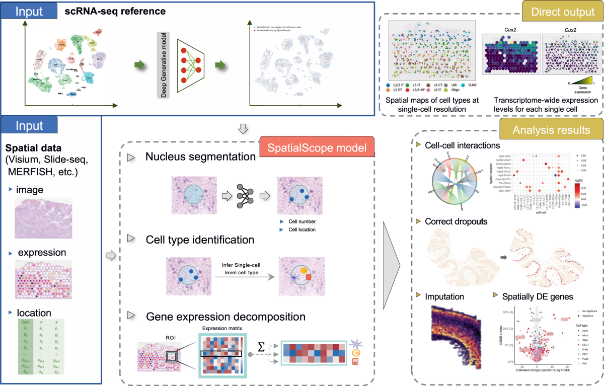 空间基因表达数据分析流程图
