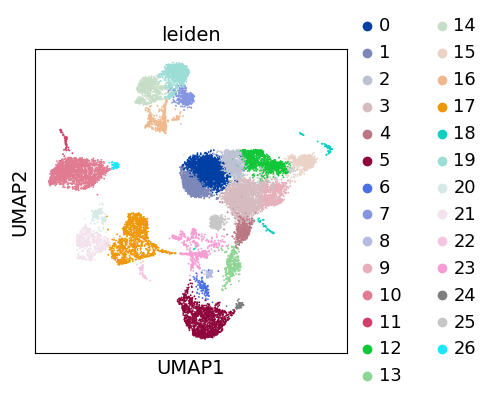 Scanpy UMAP降维图