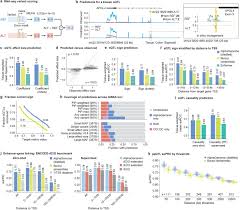 AlphaGenome基因组数据分析可视化