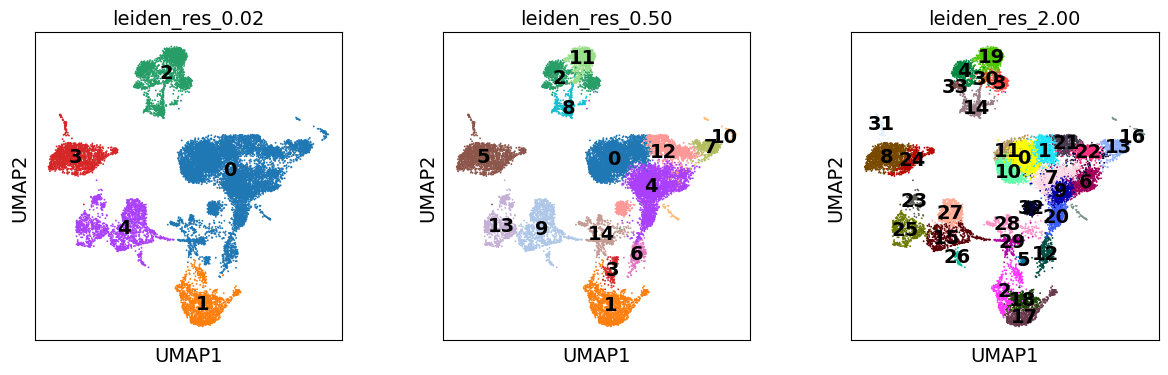 不同分辨率下的UMAP降维图
